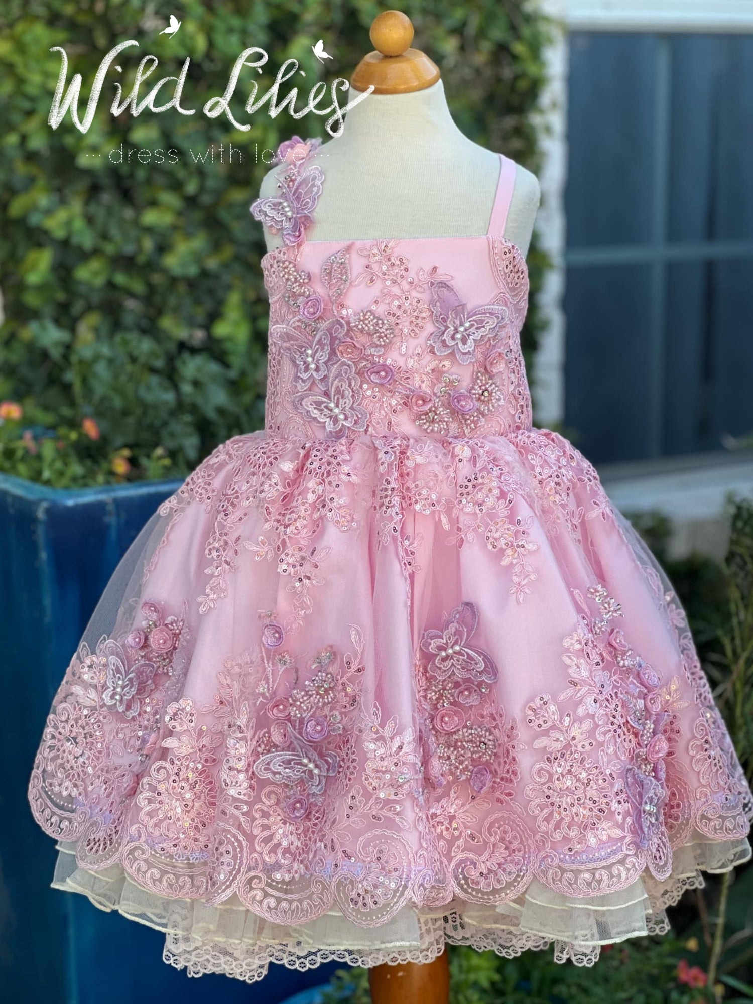 Fairy Dress