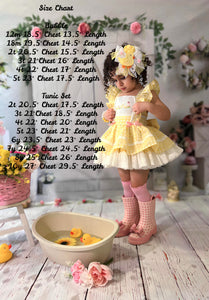 Duckies in Gingham Bubble