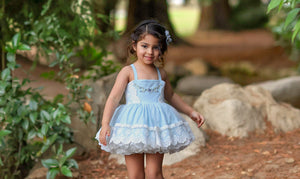 Blue Bonnet Dress