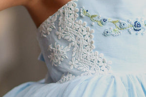 Blue Bonnet Dress 2.0