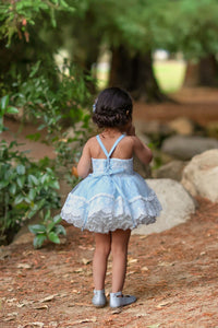 Blue Bonnet Dress