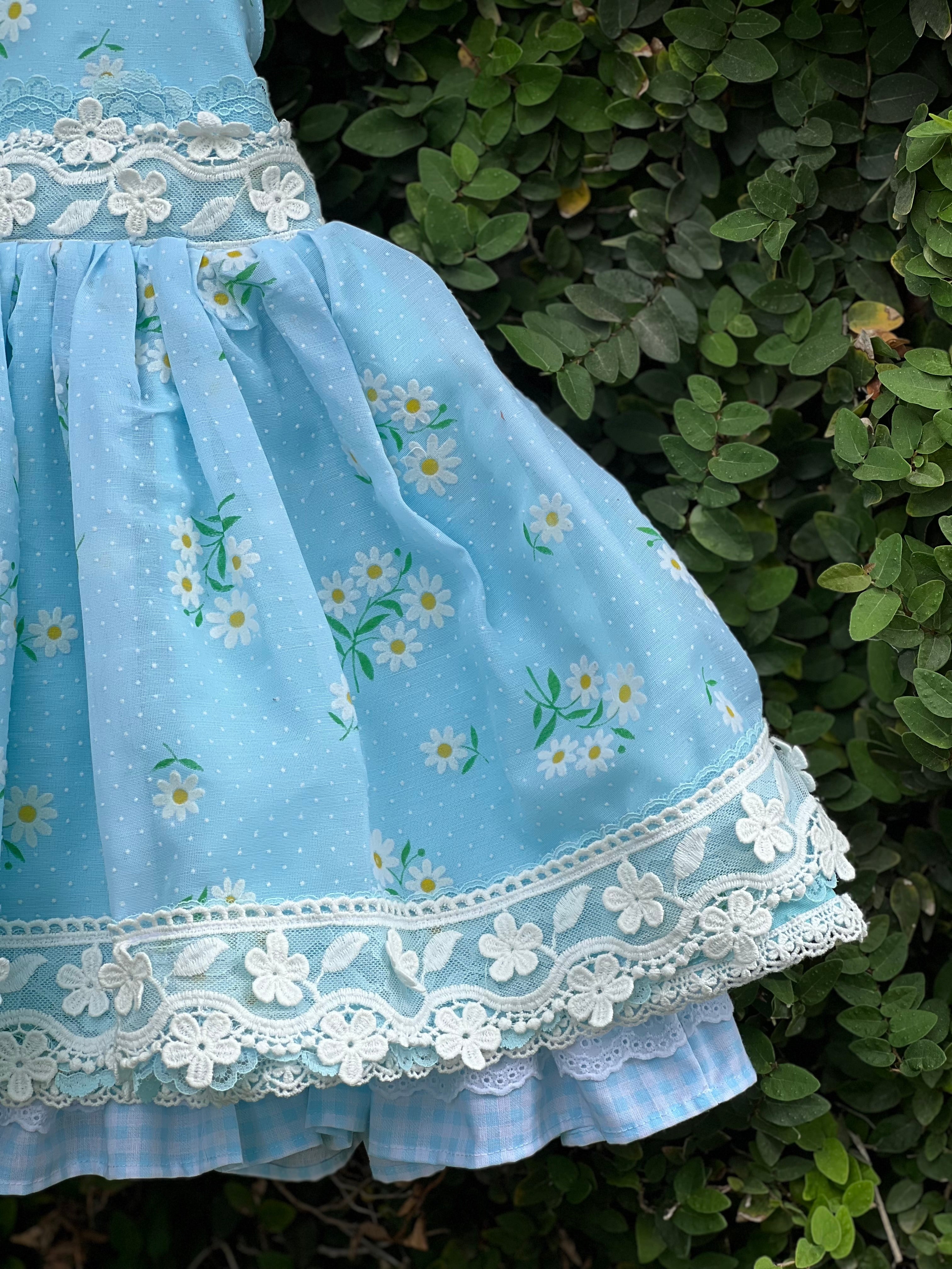 Blue Daisy