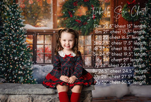 Isabelle Christmas Plaid Tunic Set