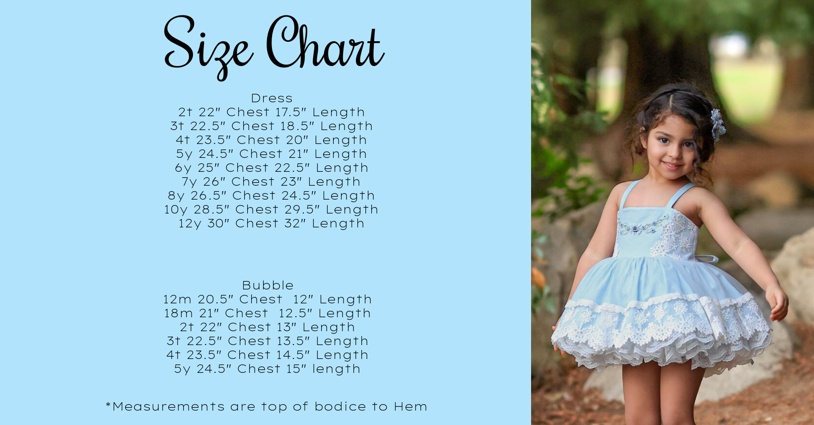 Blue Bonnet Dress
