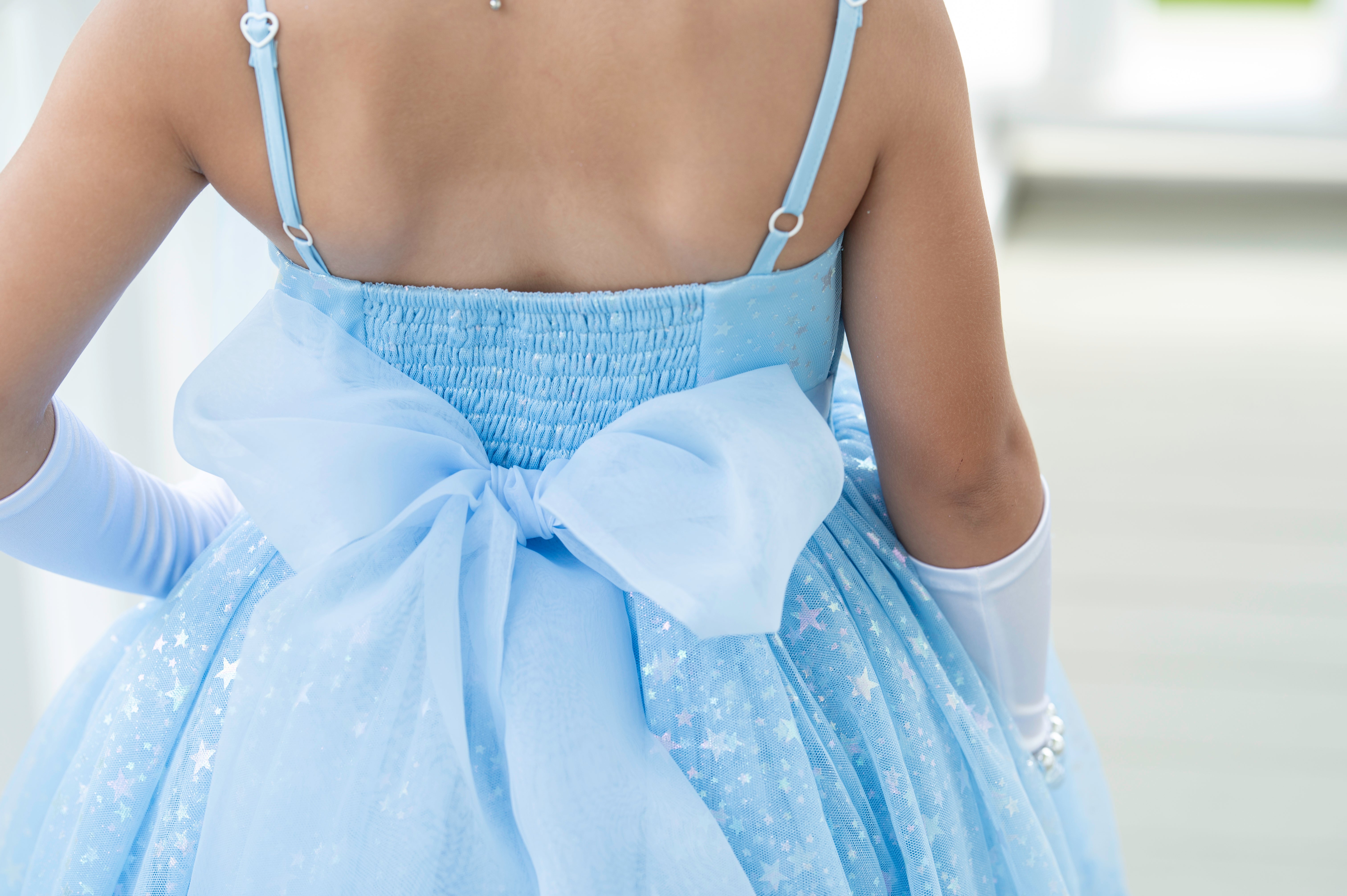 Castle Wishes Dress