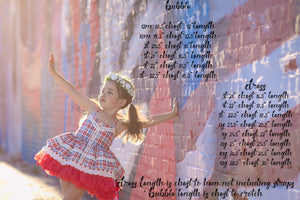Little Firecracker Poppy Dress