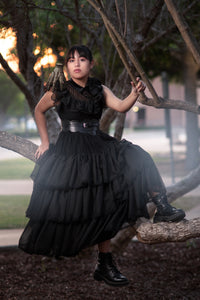 Black Dahlia